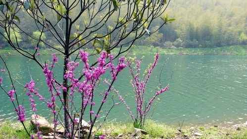 春色撩人_