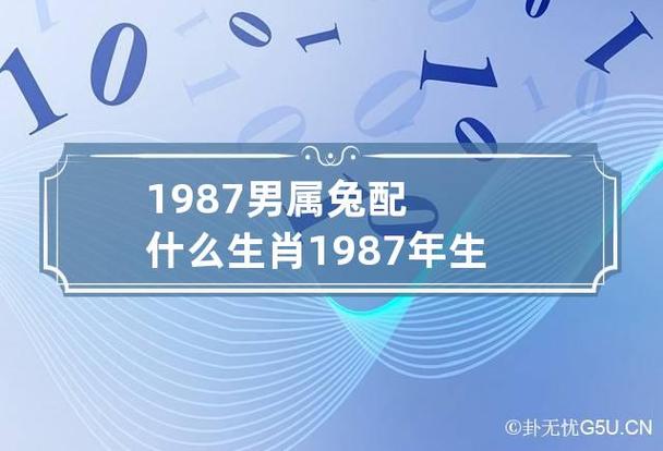 1987年属兔人取公司名_1987年属兔人取公司名字好吗