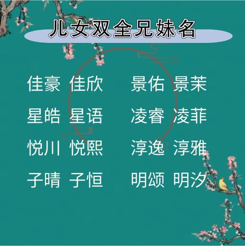 双胞胎女儿取名大全_双胞胎女儿取名大全有诗意的