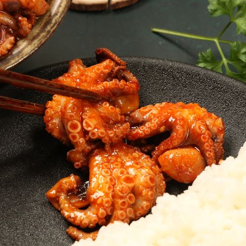 麻辣小章鱼起名字大全（章鱼的小名）
