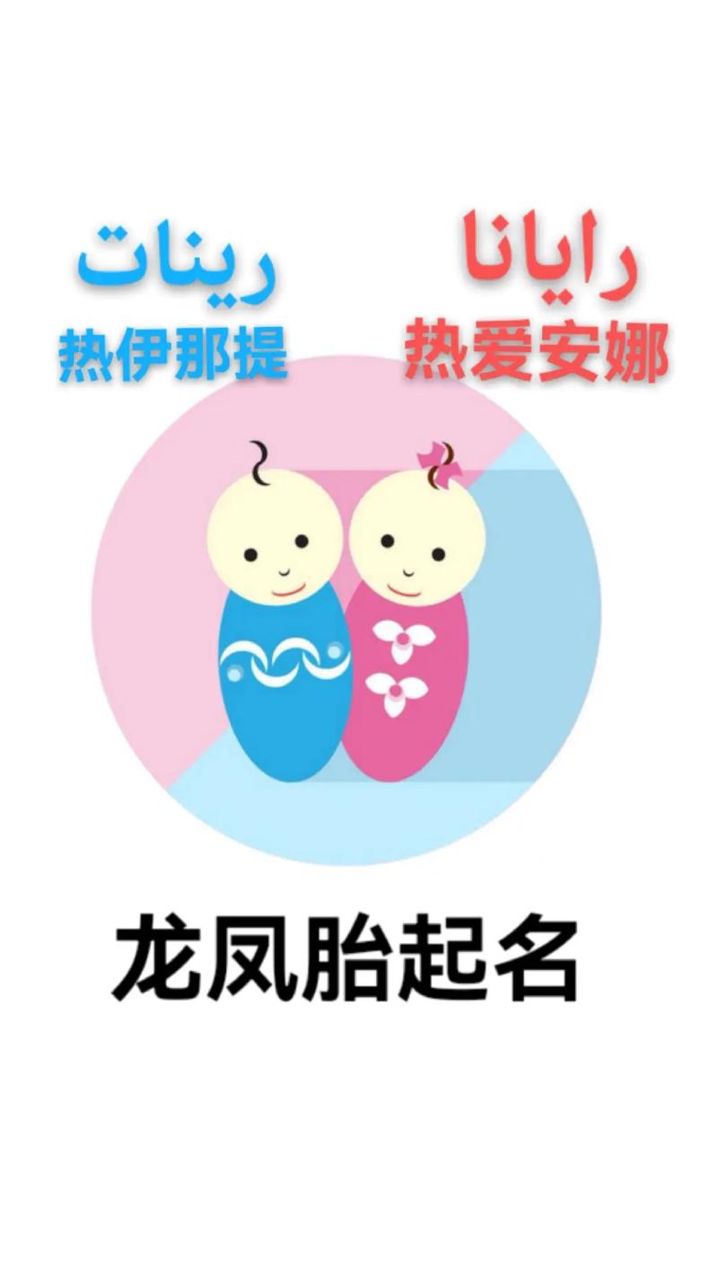 宝宝起名龙凤胎_宝宝起名龙凤胎名