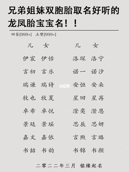 龙凤双胞胎宝宝取名集锦_龙凤双胞胎取名大全