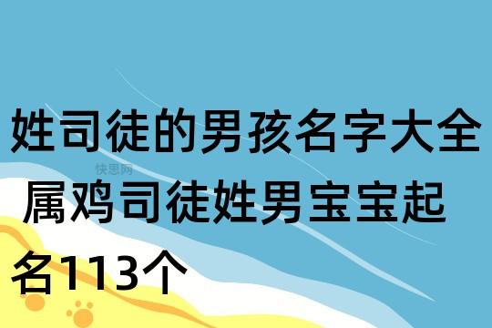 69年属鸡的公司起名_69年属鸡的公司起名字大全