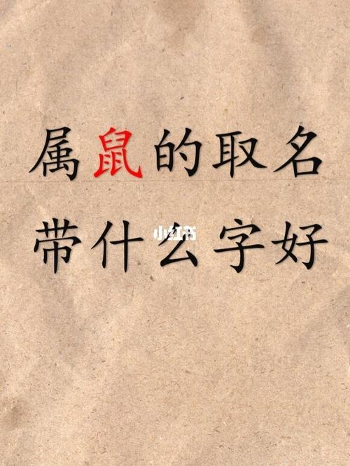 72年属鼠公司起名_72年属鼠公司起名字大全