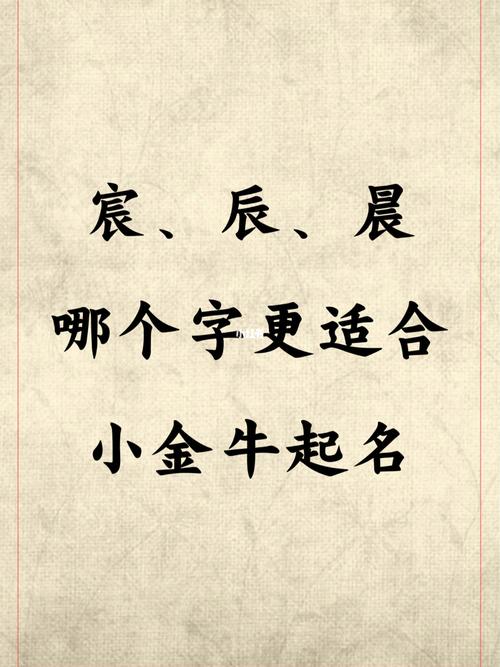 晨字宝宝起名女孩_晨字宝宝起名女孩
