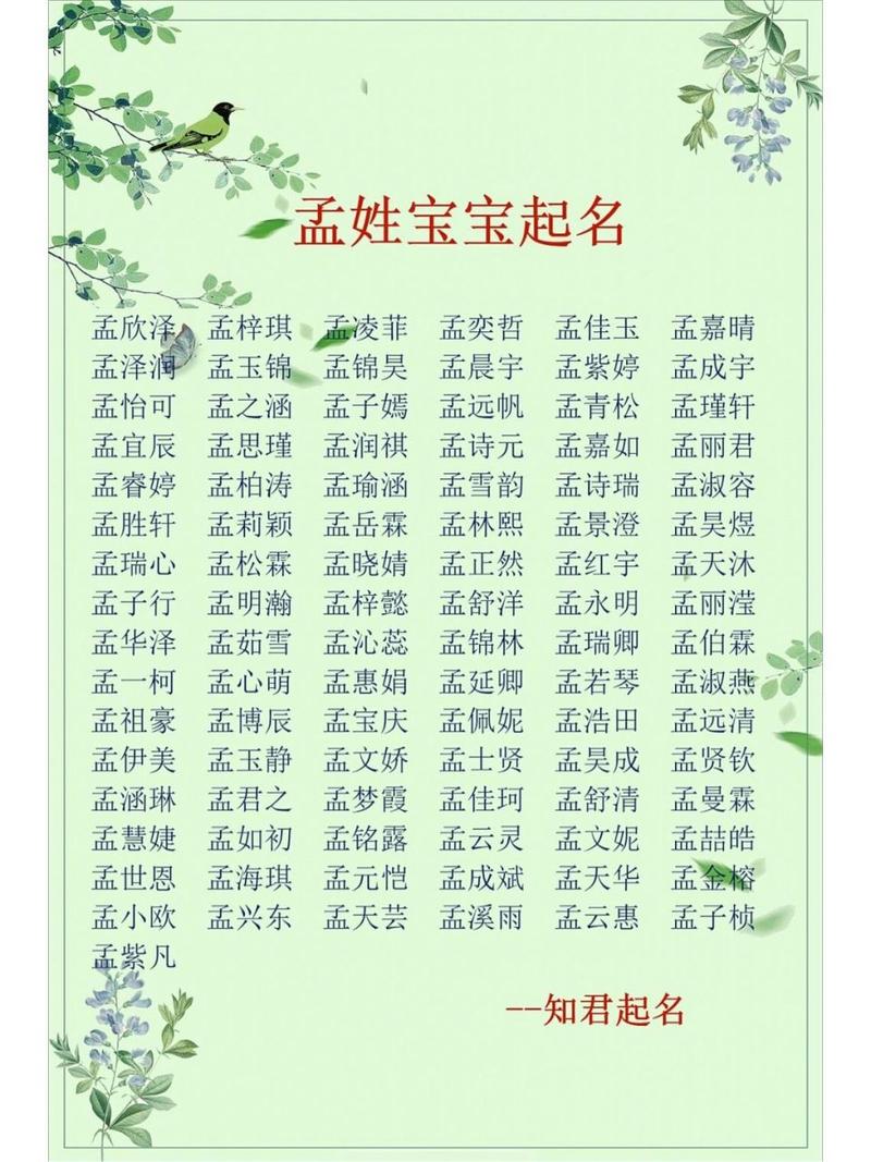 孟姓宝宝取名大全_孟姓宝宝取名大全男孩