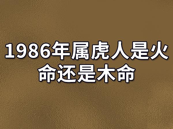 86年属虎人公司取名_86年属虎人公司取名大全