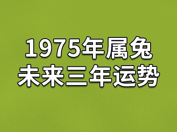 75年属兔公司取名_