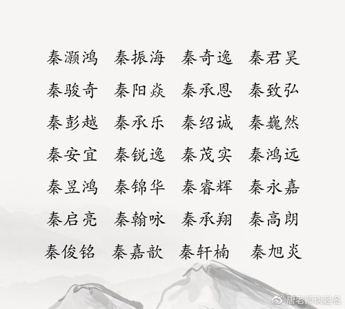 公司起名秦字_公司起名秦字怎么起