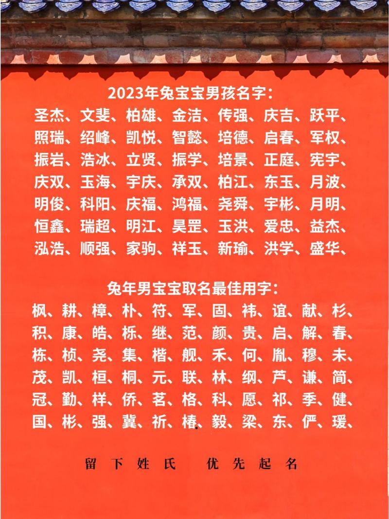 2023年兔宝宝男宝宝名字_2023年兔宝宝男孩