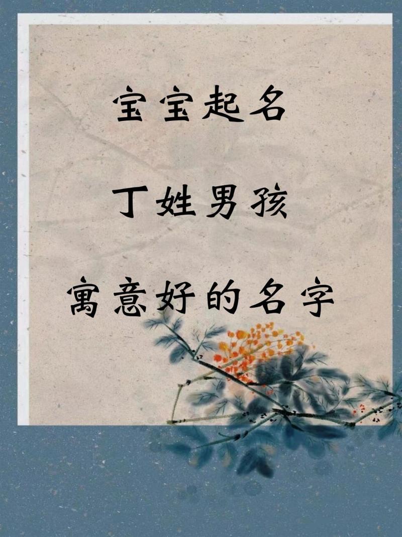 丁姓名字大全男孩名字_丁姓名字大全男孩名字寓意