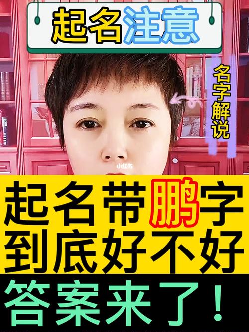 公司起名大全带鹏字_公司起名大全带鹏字的名字