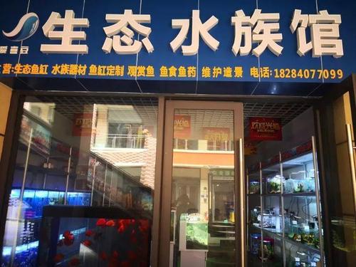 水族馆名字大全_水族馆名字大全 有创意
