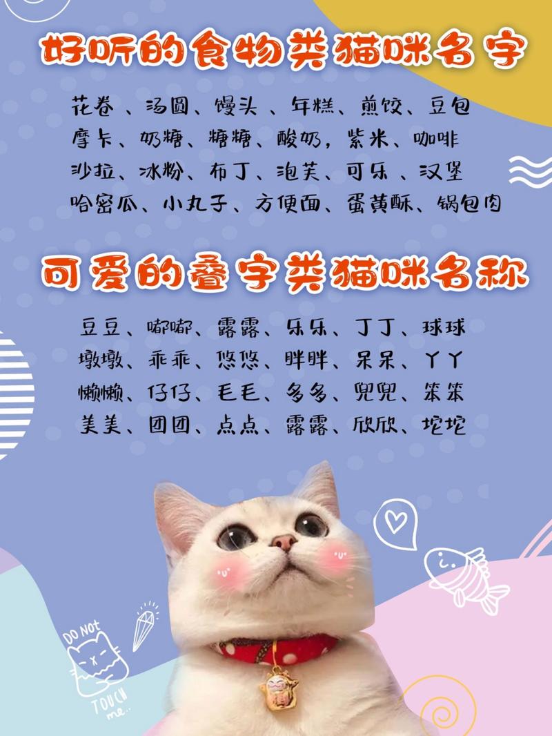 好听的小猫咪名字大全_好听的小猫咪名字大全公猫