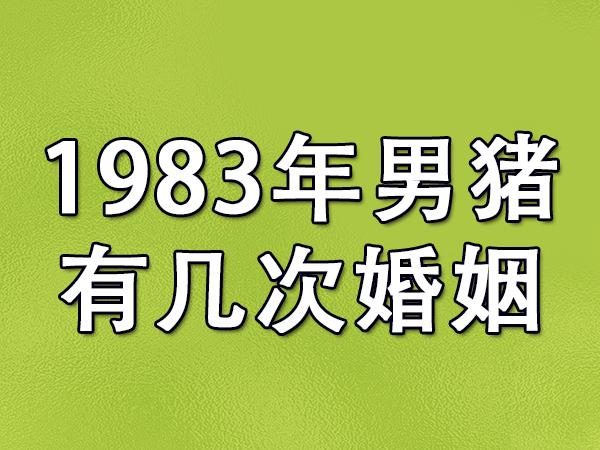 83年属猪开公司取名_83年属猪开公司取名宜用字大全