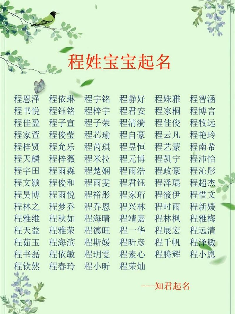 好听的程姓男宝宝名字_好听的程姓男宝宝名字大全