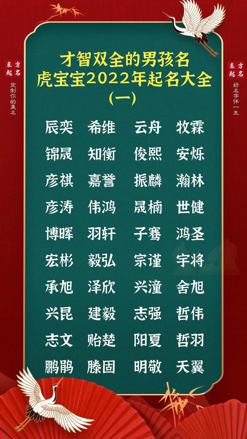 虎宝宝男孩取名大全_虎宝宝男孩取名大全2022款