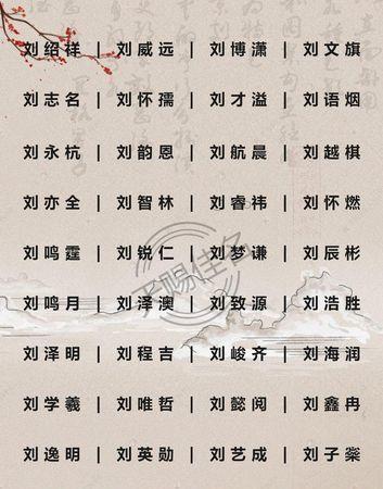 2022男宝宝名字打分_男宝取名打分