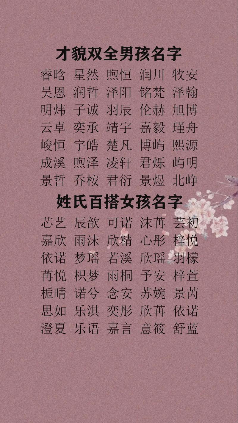 两个男孩取名_两个男孩取名字叫什么