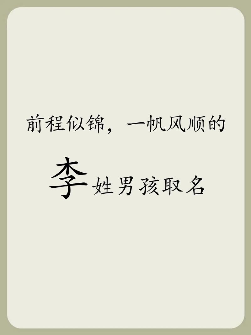 李姓男孩起名100分_李姓男孩取名100分