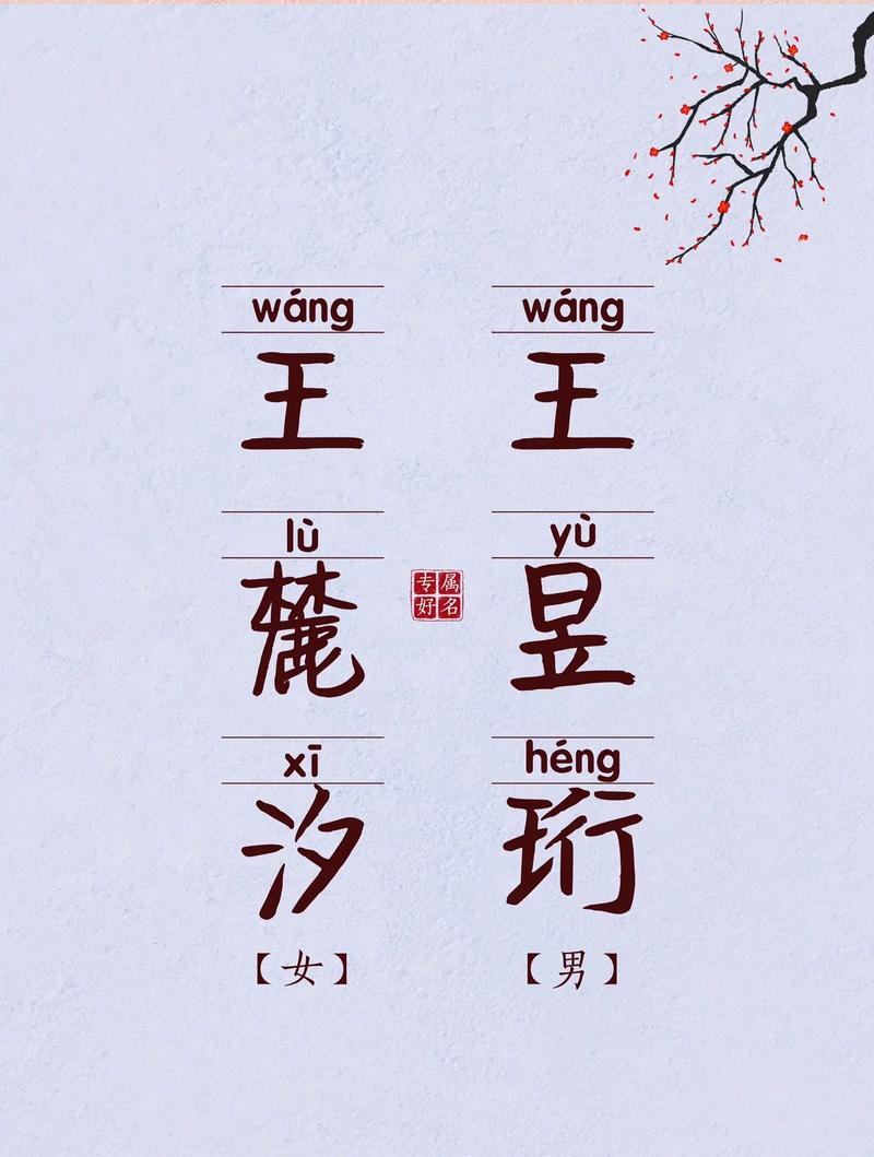 2023年王姓兔宝宝取名_2023年王姓兔宝宝取名字