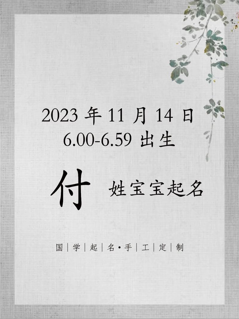 付氏男孩起名（2020年付姓男孩取名字）