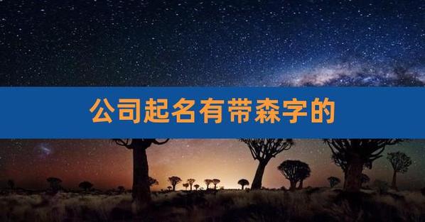 带森的公司名字_带森的公司名字寓意好的