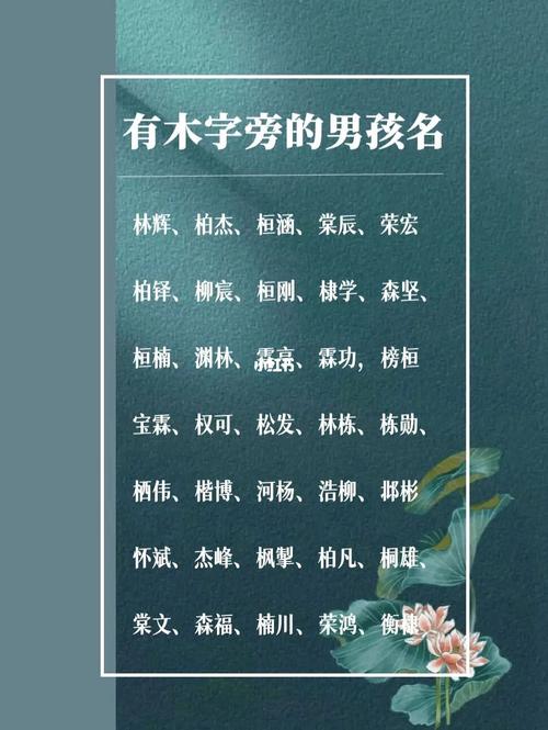 带木的虎宝宝名字_带木的虎宝宝名字男孩