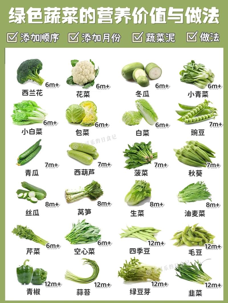 蔬菜名称大全名字_蔬菜名称大全名字图片