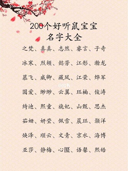 20年鼠宝宝名字_20年鼠宝宝取名