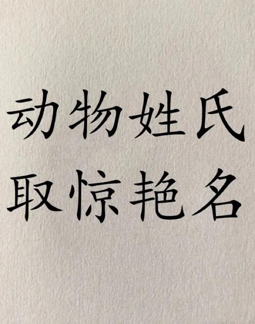 动物名字公司取名_动物名字公司取名三个字