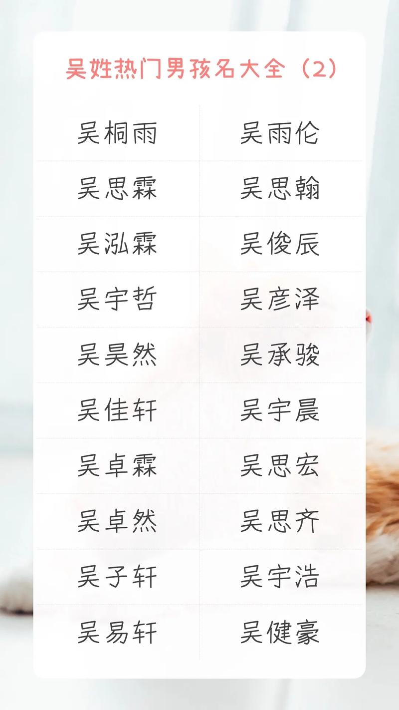 2022吴姓男孩名字_2020姓吴男孩名字