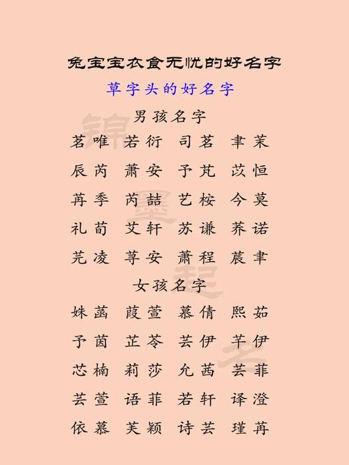 草字头的字男孩名字_草字头的字男孩名字属兔怎么取
