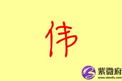 带伟的公司名字大全_带伟的公司名字大全免费取名