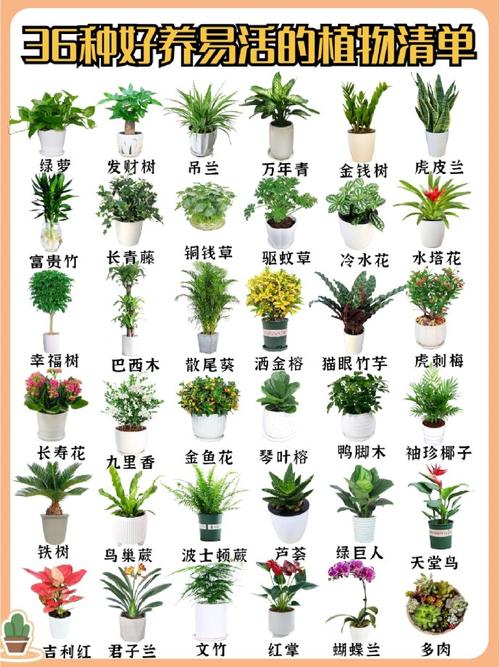 100种植物名字大全_100种植物名字大全图片