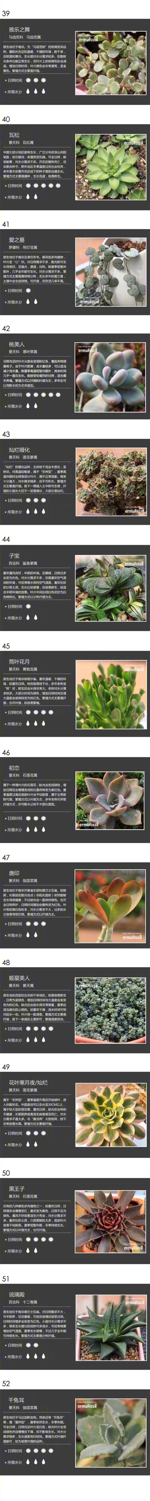 100种植物名字大全_100种植物名字大全图片