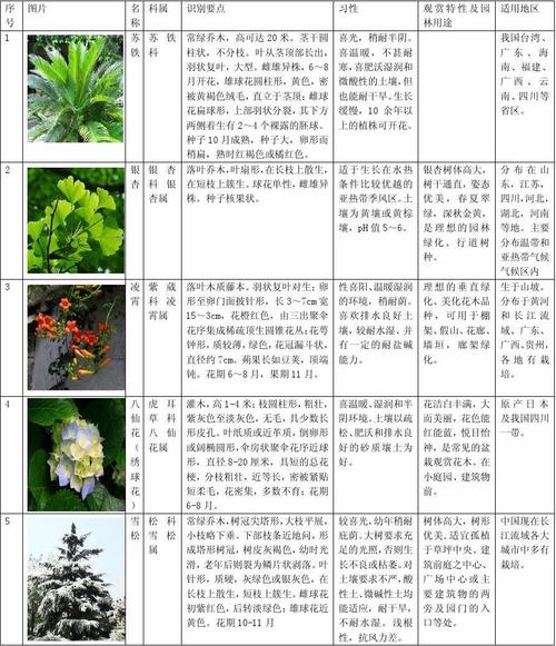 100种植物名字大全_100种植物名字大全图片
