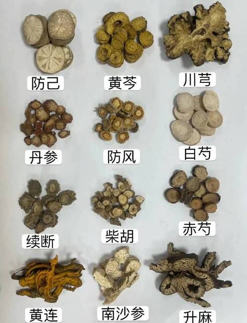 常用中药材名字大全_常用中药材名字大全图片