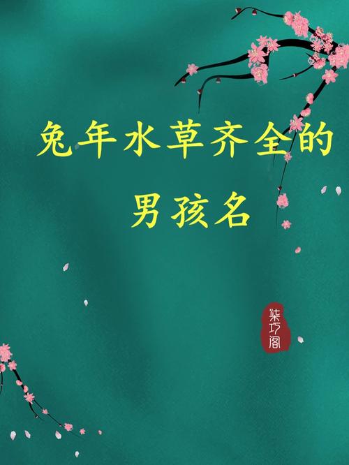 2011年兔年男孩起名_2011年兔年男孩起名为王锦瑞好不好呢
