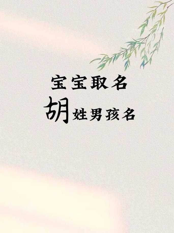 胡姓男孩起名有诗意的_胡姓男孩起名有诗意的名字