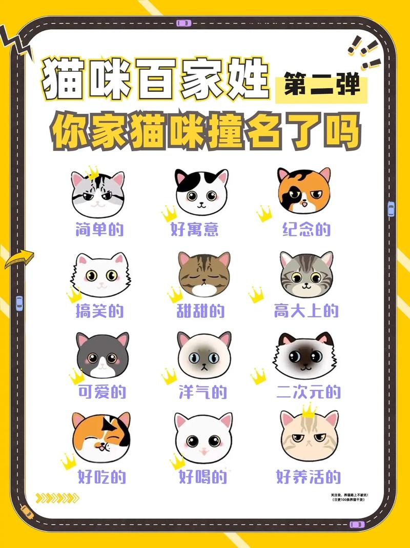 老公给猫起名字大全_给猫取名字男的