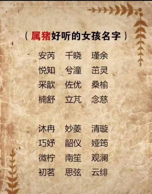 2007属猪的男孩取名字大全_2007属猪的男孩取名字大全集