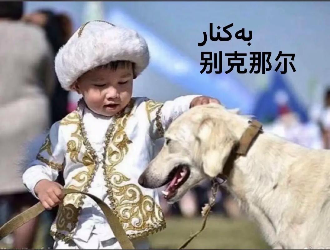 2020最火男孩名字哈萨克族_2020最火男孩名字哈萨克族