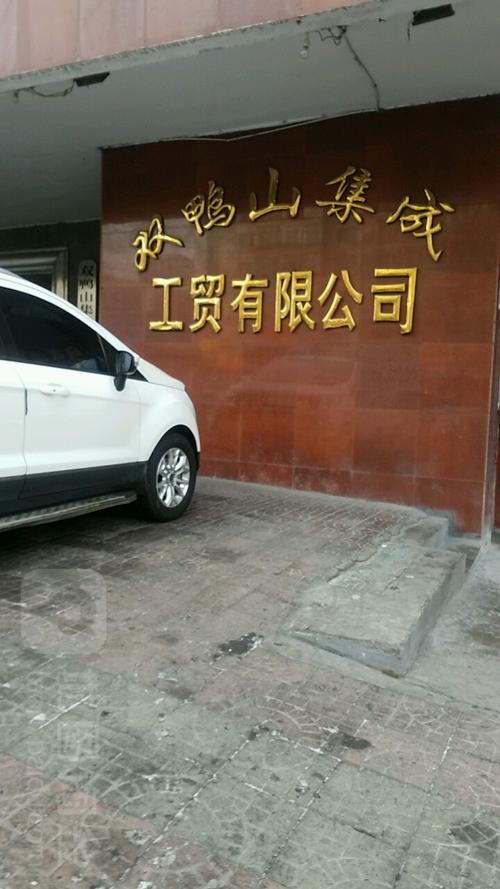 双鸭山科技公司起名字大全_双鸭山有哪些企业