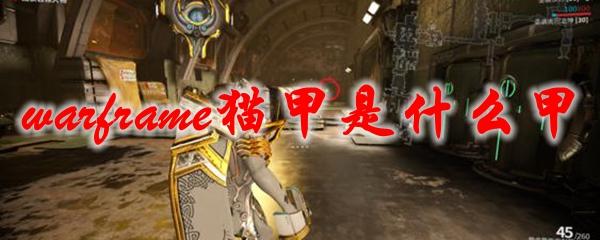 星际战甲猫起名字大全_星际战甲猫起名字大全男