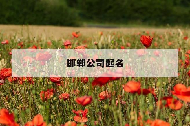 邯郸起名公司哪家好_邯郸起名公司哪家好一点