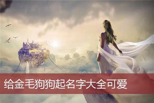金毛怎么起名字大全_金毛怎么起名字大全女