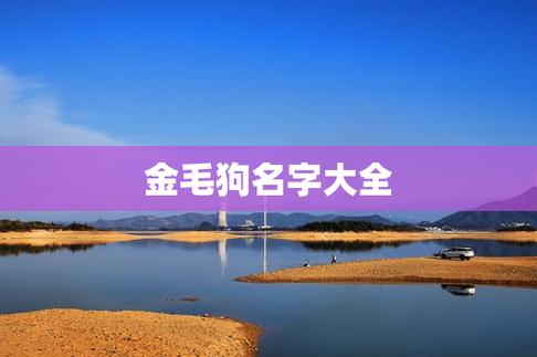 金毛怎么起名字大全_金毛怎么起名字大全女