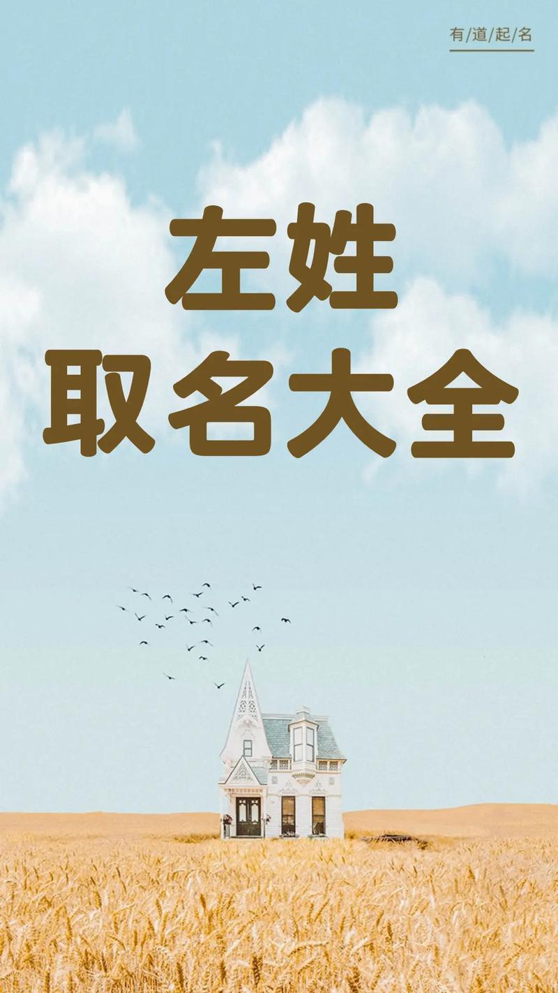 左姓起名字大全猪年_左姓起名字大全猪年女孩