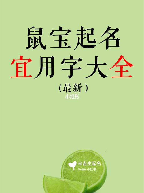 鼠年的宝宝起名字大全_鼠年的宝宝起名字大全男孩